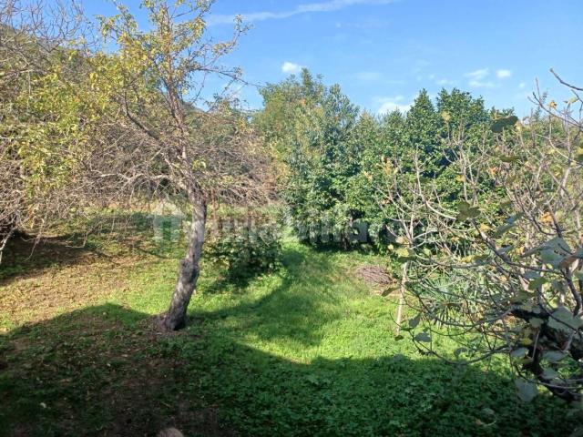 Terreno in vendita a Piemonte, Verbano-cusio-ossola