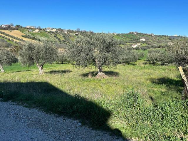 Terreno in vendita a Mosciano Sant'angelo, Abruzzo