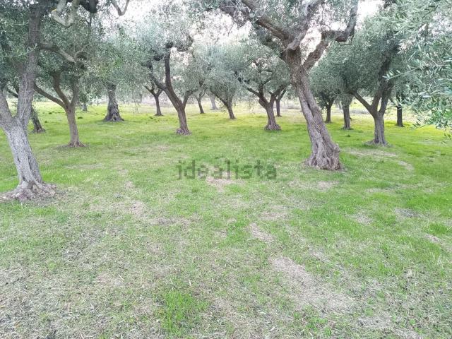 Terreno in vendita a Treglio, Abruzzo
