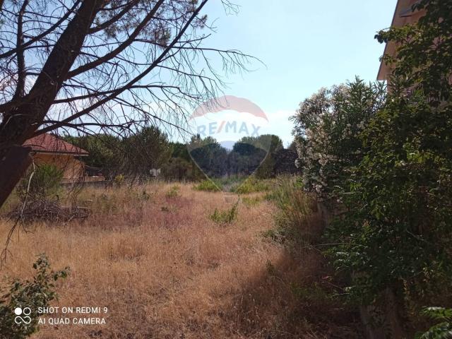 Terreno in vendita a Pedara, Sicilia