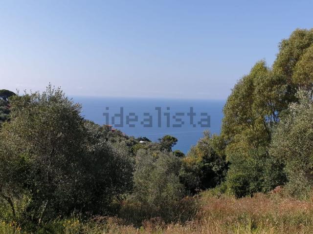 Terreno in vendita a Oliveto, Imperia