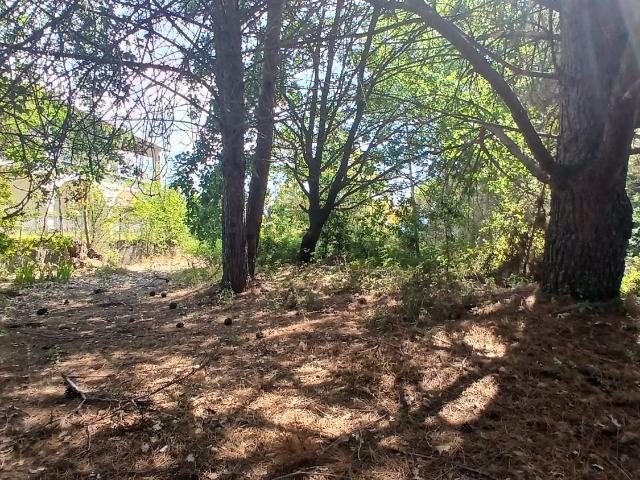 Terreno in vendita a Ragala, Nicolosi
