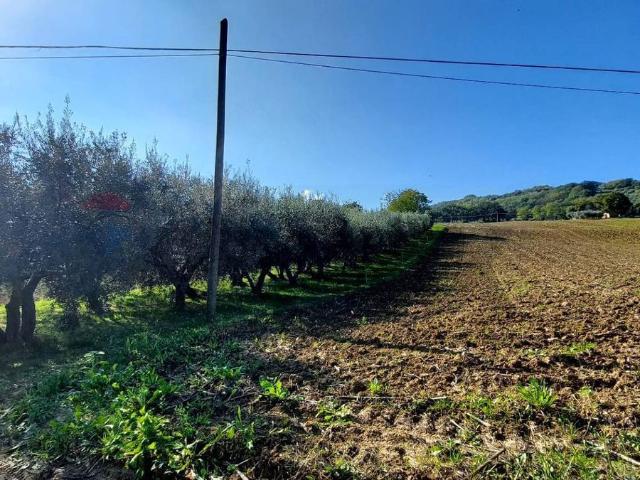 Terreno in vendita a Marche, Ancona