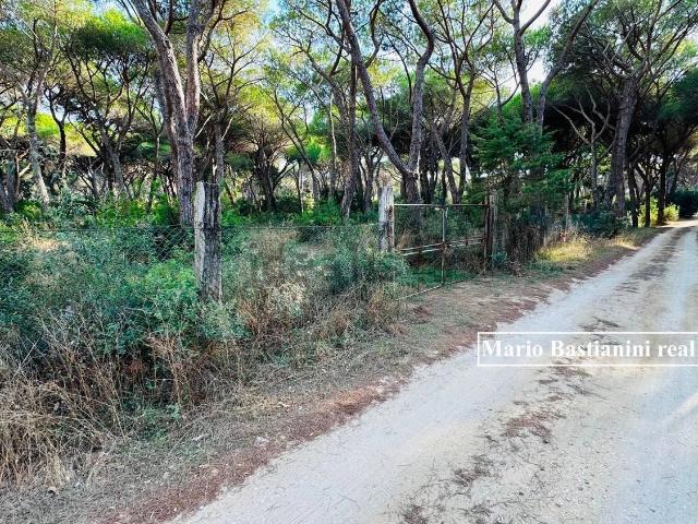 Terreno in vendita a Ponte Giorgini, Castiglione della Pescaia