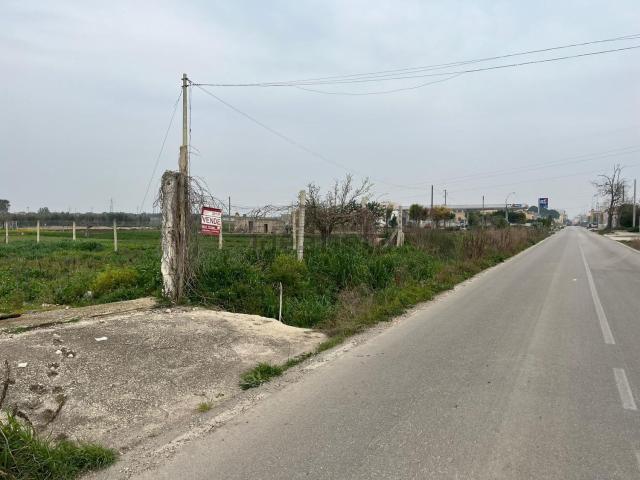 Terreno in vendita a San Severo, Foggia
