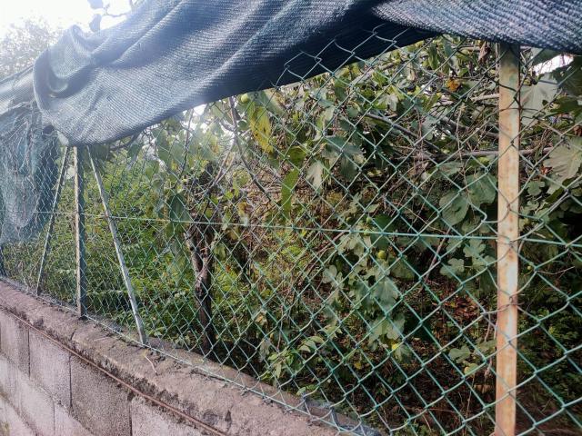Terreno in vendita a Riposto, Sicilia