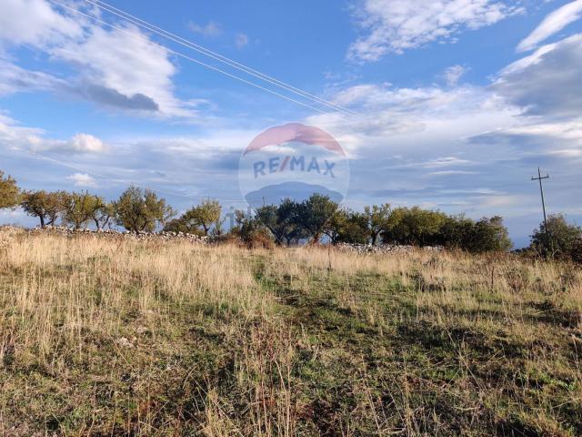 Terreno in vendita a Puglia, Foggia