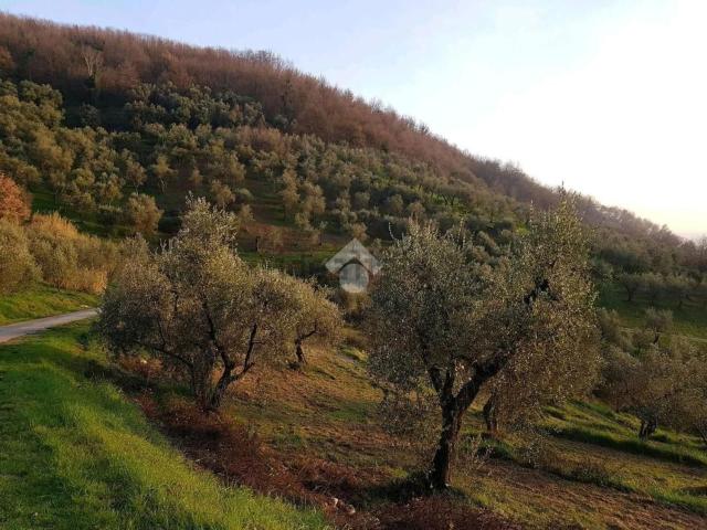 Terreno in vendita a Pieve A Nievole, Toscana