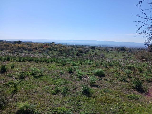 Terreno in vendita a Belpasso, Sicilia