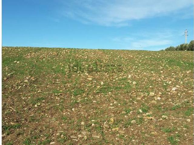 Terreno in vendita a Venosa, Potenza