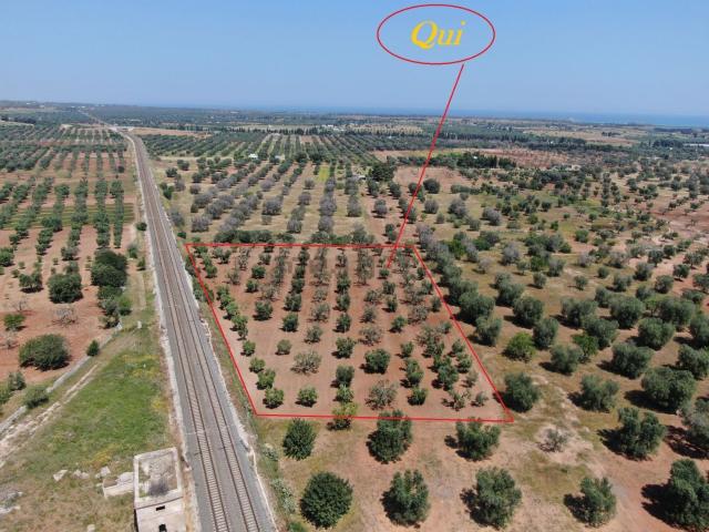 Terreno in vendita a Puglia, Brindisi