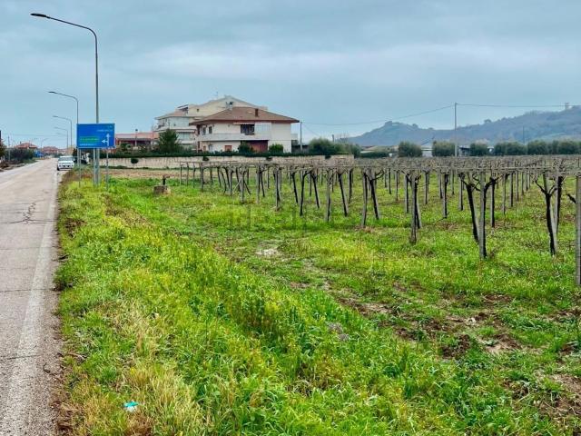 Terreno in vendita a Miglianico Di Chieti, Abruzzo