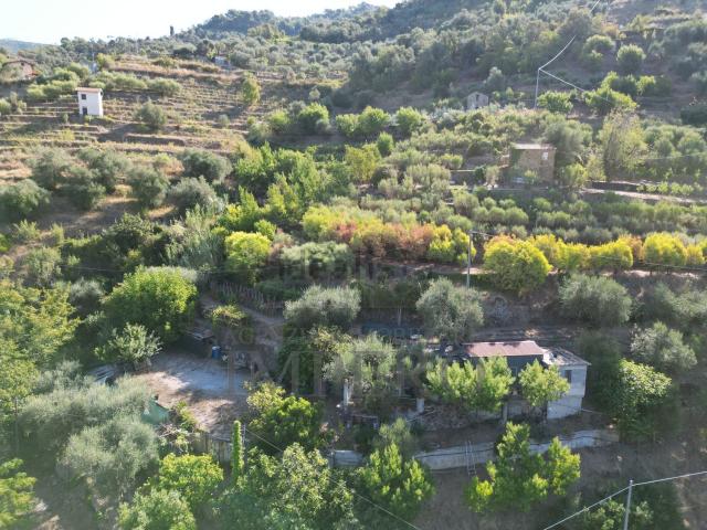 Terreno in vendita a Dolceacqua, Liguria