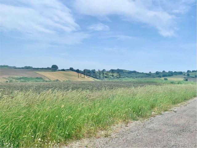 Terreno in vendita a Guglionesi, Molise