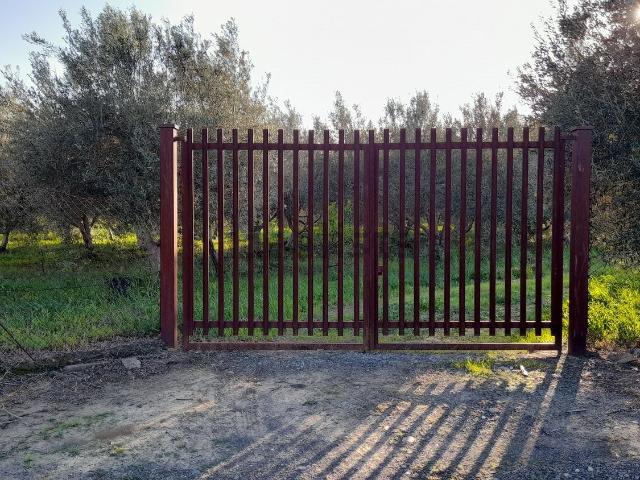 Terreno in vendita a Belpasso, Sicilia