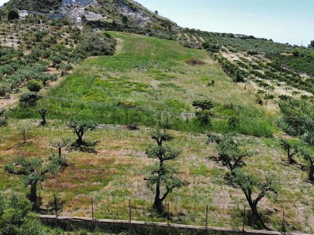 Terreno in vendita a Ribera, Sicilia