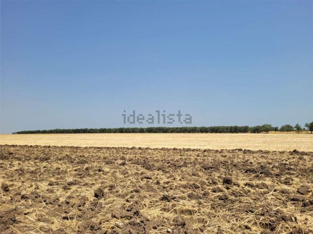 Terreno in vendita a Puglia, Foggia