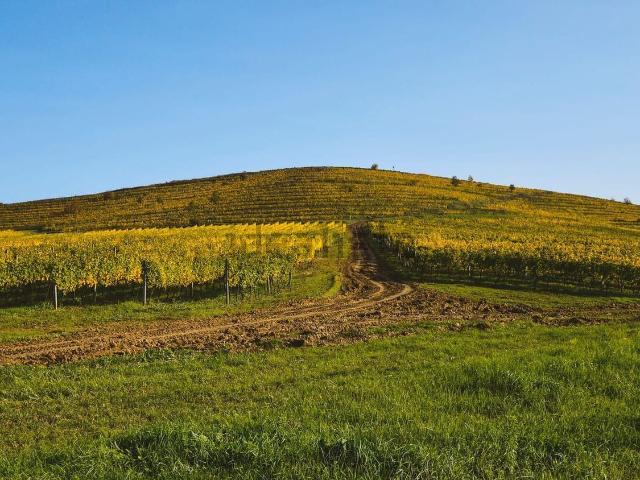Terreno in vendita a Muggiò, Friuli-Venezia Giulia