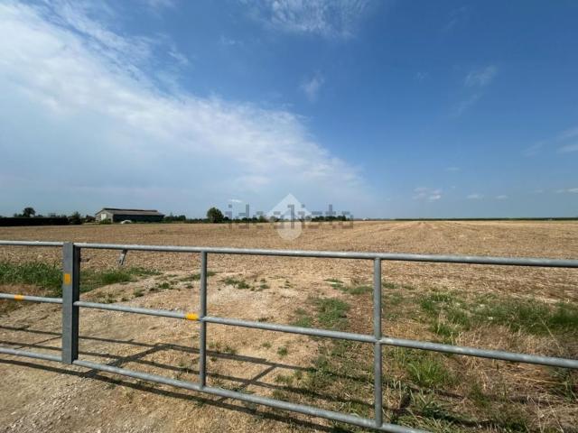 Terreno in vendita a Trevenzuolo, Veneto