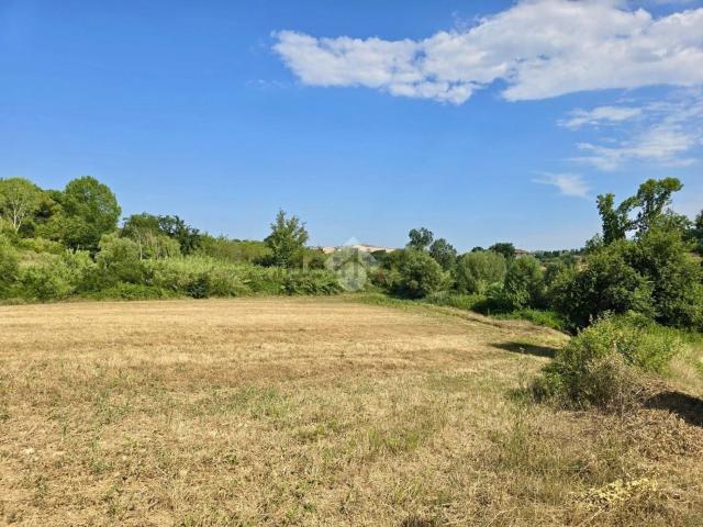Terreno in vendita a Mosciano Sant'angelo, Abruzzo