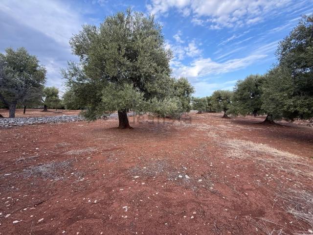 Terreno in vendita a Canale di Pirro, Puglia