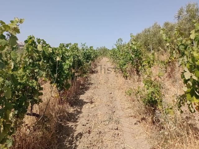 Terreno in vendita a Puglia, Taranto