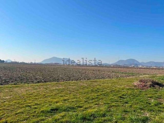 Terreno in vendita a Carrara San Giorgio, Veneto