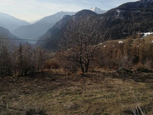 Terreno in vendita a Torgnon, Aosta