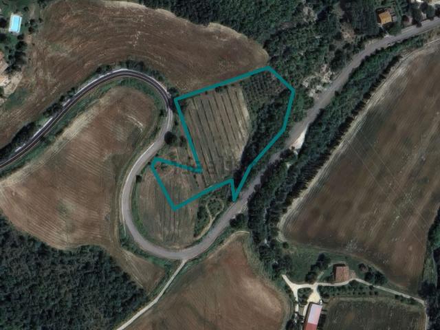 Terreno in vendita a San Venanzo, Umbria