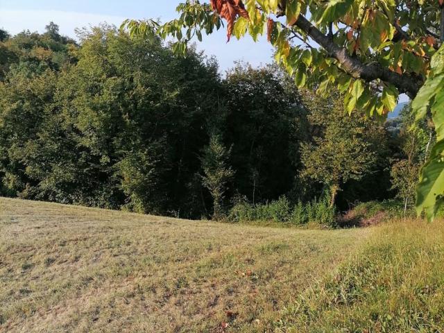 Terreno in vendita a Colombara, Mezzane di Sotto