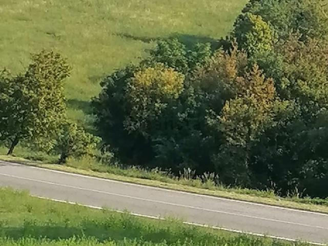 Terreno in vendita a Mezzane Di Sotto, Veneto