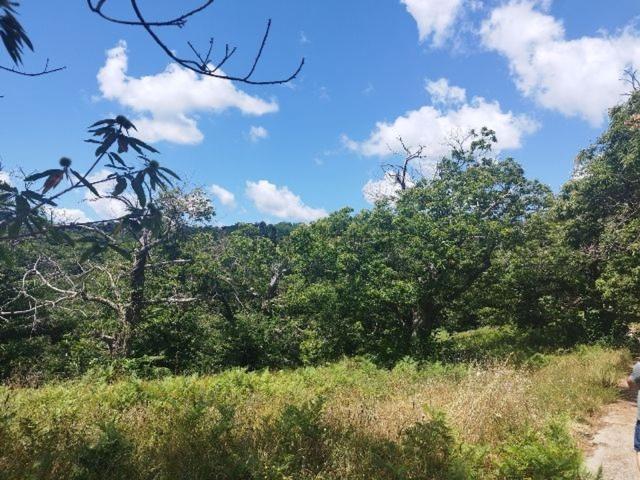 Terreno in vendita a Vallerano, Viterbo