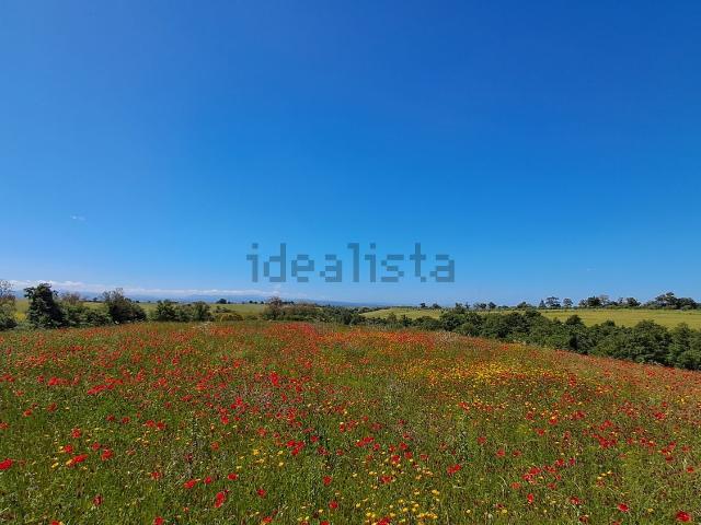 Terreno in vendita a Viterbo, Lazio