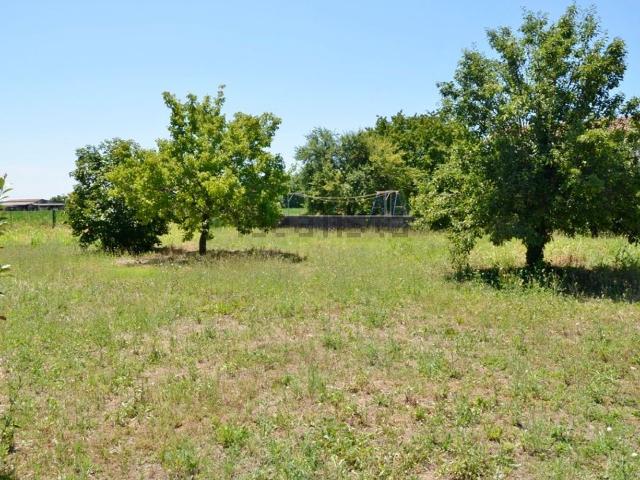 Terreno in vendita a San Canzian D'isonzo, Friuli-Venezia Giulia