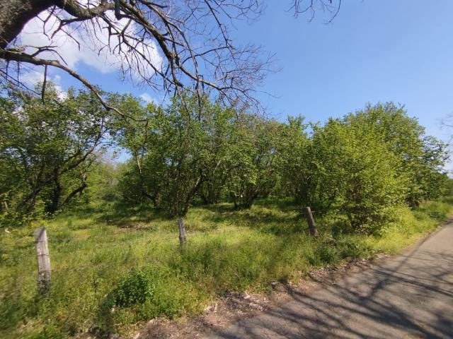 Terreno in vendita a Canepina, Lazio