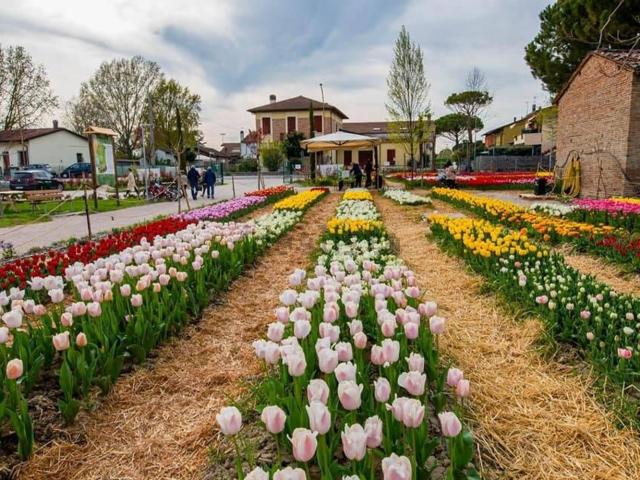 Terreno in vendita a Castiglione di Cervia, Cervia