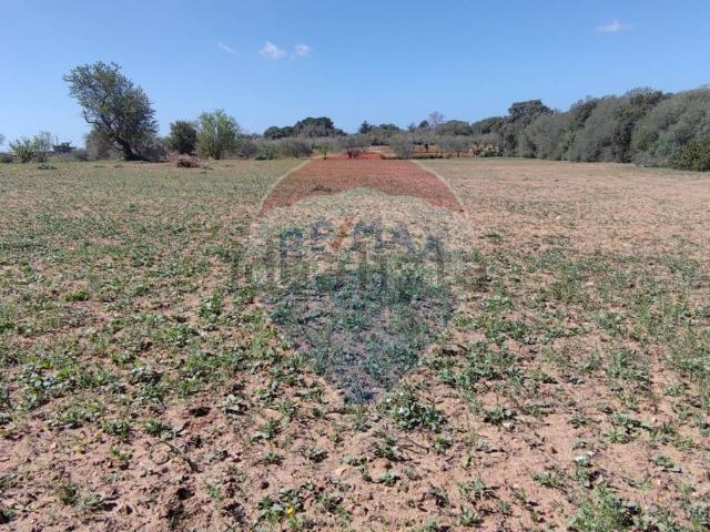 Terreno in vendita a Chiaramonte Gulfi, Sicilia