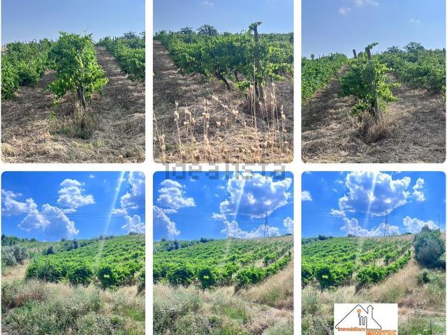 Terreno in vendita a Viturano, Santa Paolina