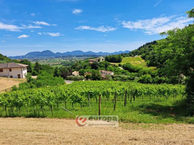 Terreno in vendita a Villaga, Veneto