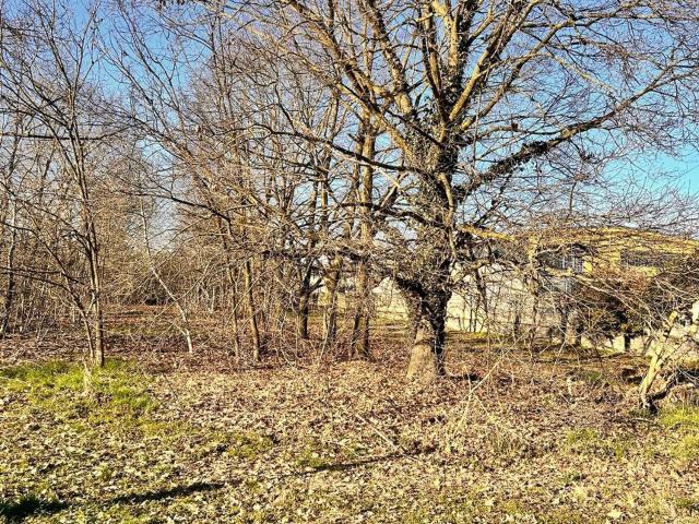 Terreno in vendita a Piemonte, Novara