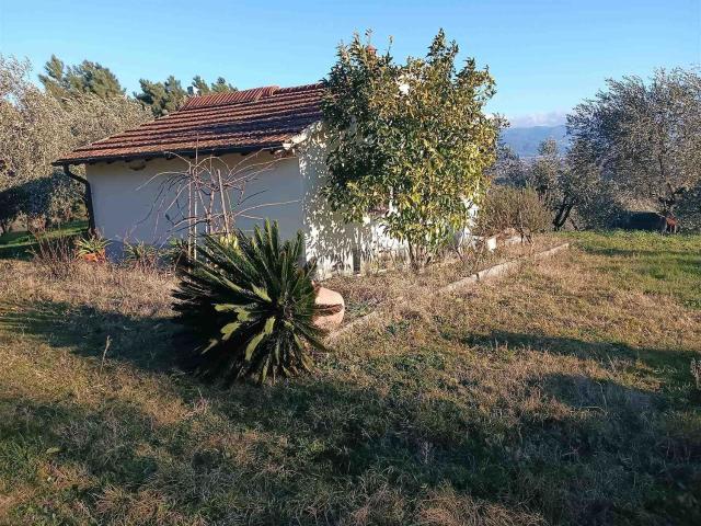 Terreno in vendita a Quarrata, Toscana