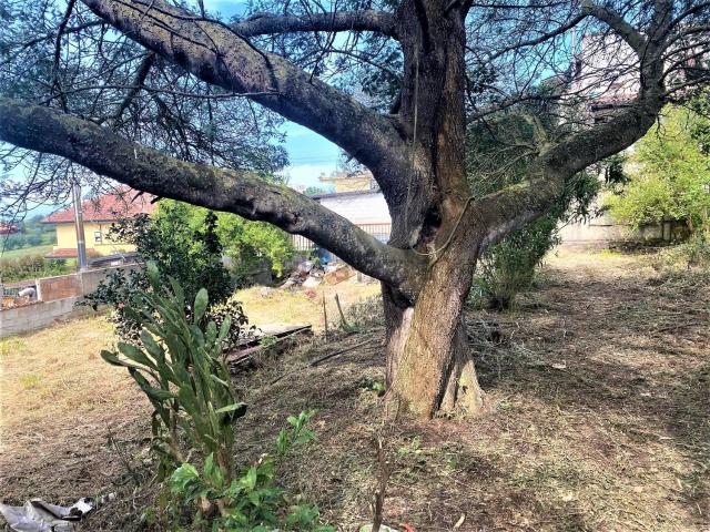 Terreno in vendita a Vibo Valentia