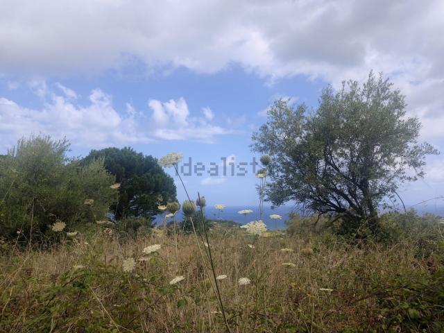 Terreno in vendita a Rometta, Sicilia