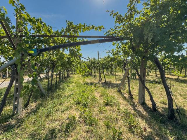 Terreno in vendita a Ragano, Cavaion Veronese
