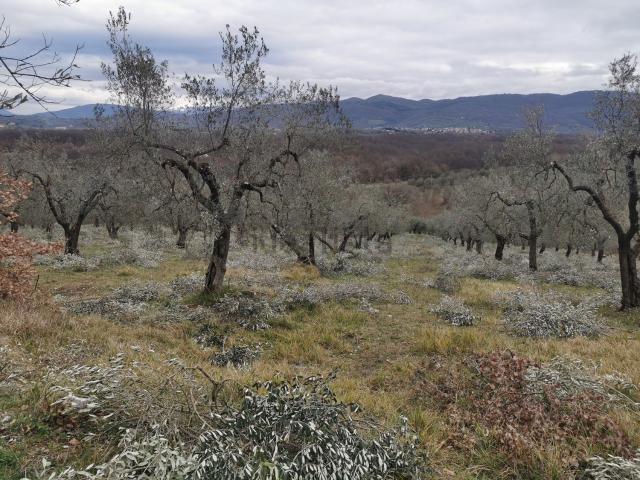 Terreno in vendita a Scandriglia, Lazio