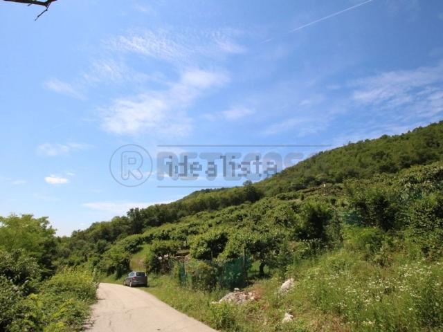 Terreno in vendita a Castegnero, Veneto