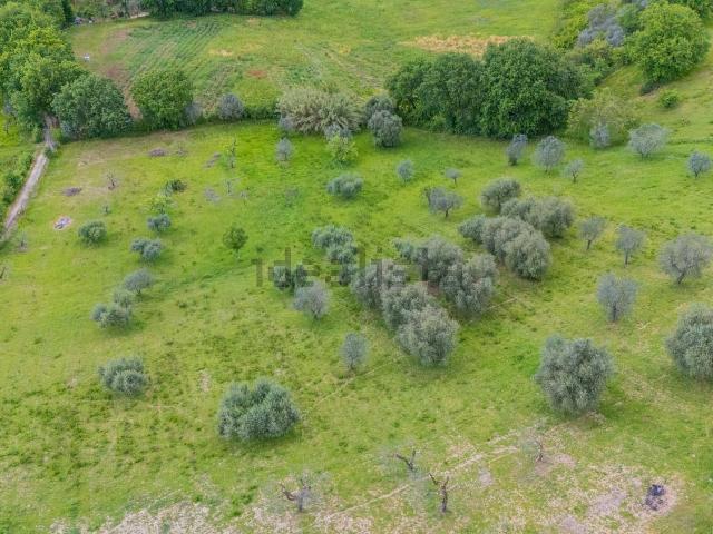Terreno in vendita a Salisano, Lazio
