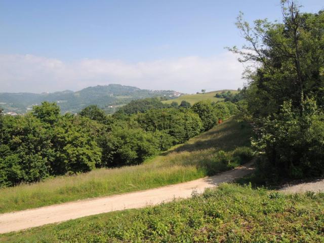 Terreno in vendita a Monteviale, Veneto