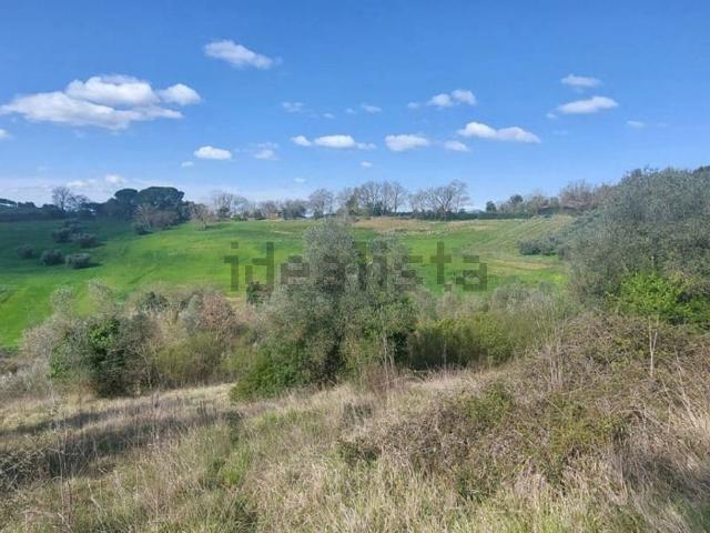 Terreno in vendita a Civitella Marittima, Grosseto