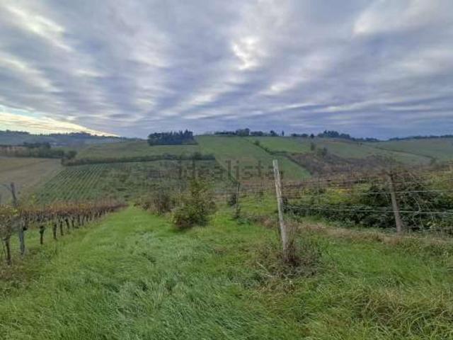 Terreno in vendita a Nuovo Circondario Imolese, Imola